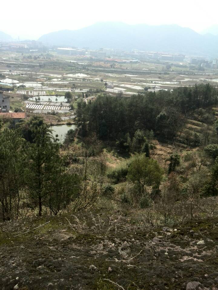 施工现场场地情况复杂.JPG