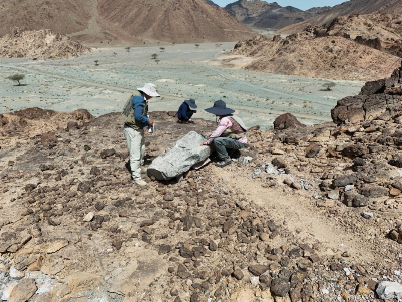 江苏地质助力中沙地学合作首批地质填图成果发布
