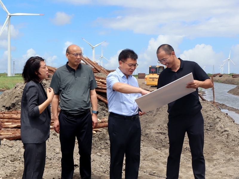 程知言现场调研我局盐碱地综合利用及地热清洁能源重点项目