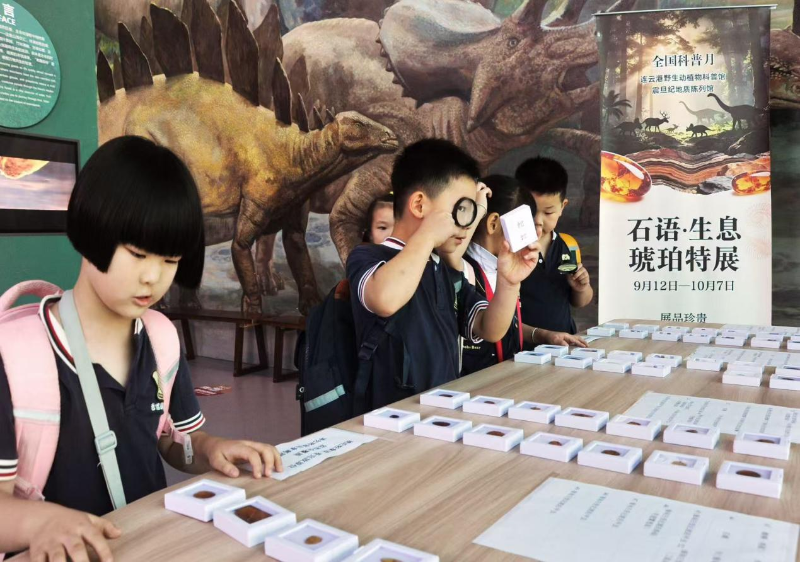 全国科普月丨江苏地质解锁多彩打开方式
